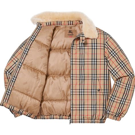 burberry supreme jacket